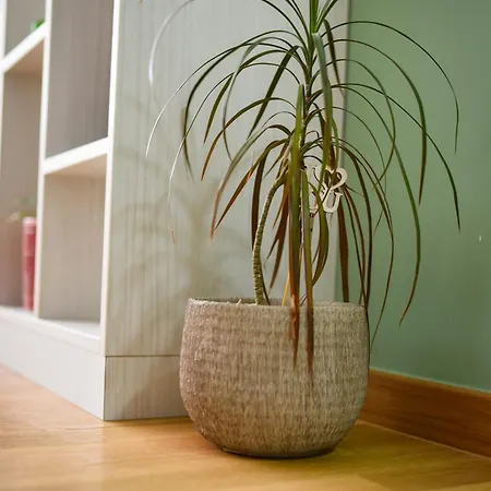 Lejlighed Bagdala Kruševac