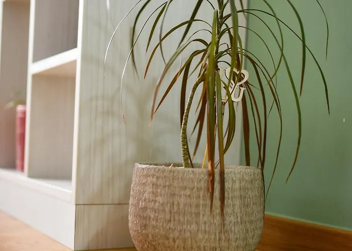 Daire Bagdala Kruševac